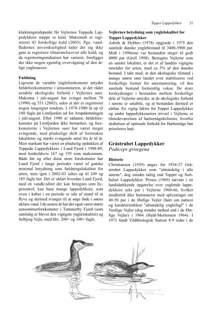 Ynglefugle i Vejlerne - Dansk Ornitologisk Forening