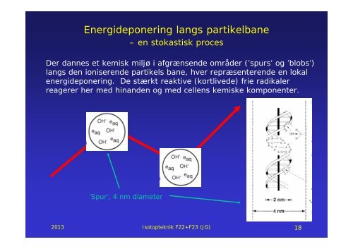 Radiobiologi 1+2