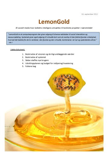 16 sider om visionen og systemet (pdf) - LemonGold
