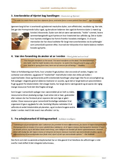 16 sider om visionen og systemet (pdf) - LemonGold