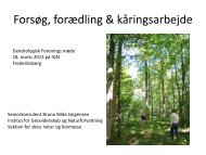 Forsøg & kåringsarbejde - Danske Planteskoler