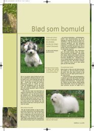 Blød som bomuld - Hunden