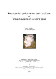 Reproduction performances and conditions of group-housed non ...