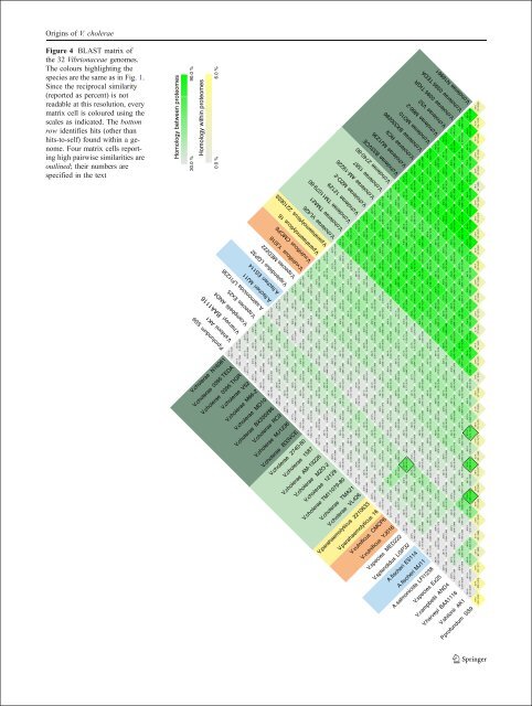 Computational tools and Interoperability in Comparative ... - CBS