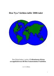 Den Nya Världen inför 2000-talet