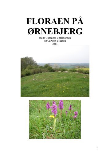 FLORAEN PÅ ØRNEBJERG - Naturpark Åmosen