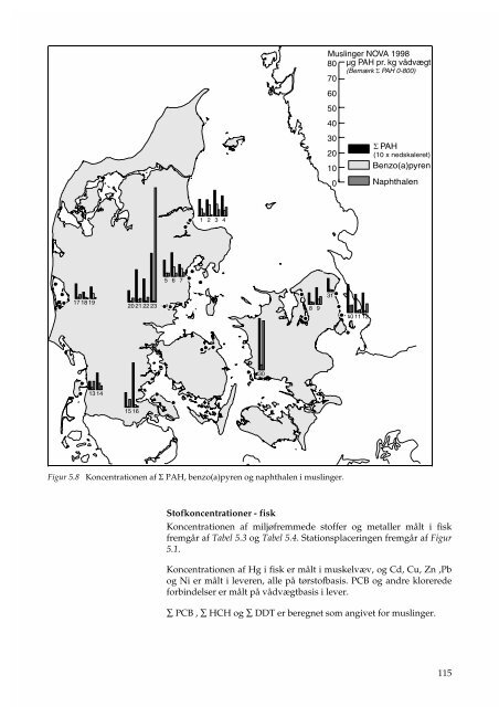 Marine områder - Status over miljøtilstanden i 1998 - Faglig rapport ...