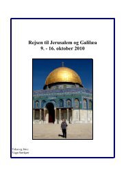 Rejsen til Jerusalem og Galilæa - Vagn Skov Særkjær