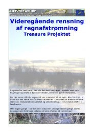 Videregående rensning af regnafstrømning - life-treasure