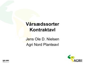 Jens Ole Dalum Nielsen: Vårsædssorter og kontraktavl - Agri Nord
