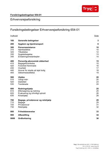 Erhvervsrejseforsikring Forsikringsbetingelser ...