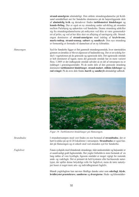 Naturen i Fanø Kommune - Bilagsrapport til Naturkvalitetsplanen