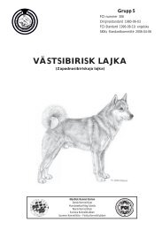 Standard för Västsibirisk lajka