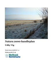 Download handleplanen for Udby Vig her - Holbæk Kommune