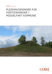 Plejeanvisninger - Middelfart Kommune