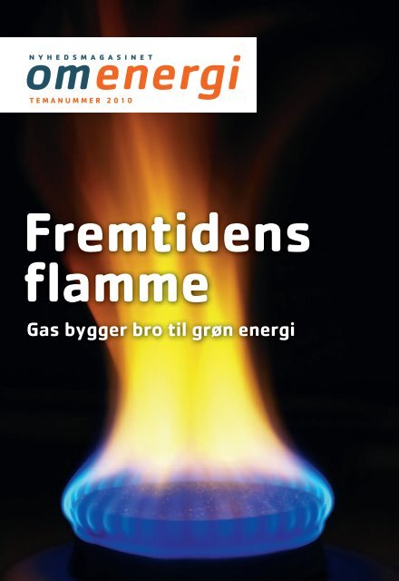 temanummer om gas 2010 - Energinet.dk