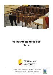 Verksamhetsberättelse 2010 - Mustasaari