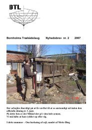 Bornholms Træbådelaug Nyhedsbrev nr. 2 2007