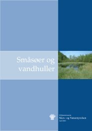 Småsøer og vandhuller - Naturstyrelsen