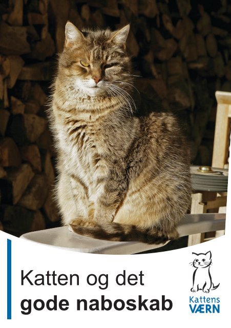 Katten og det gode naboskab - Kattens Værn