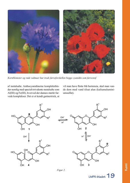 Anthocyaniner – planteverdenens kamæleoner - LMFK