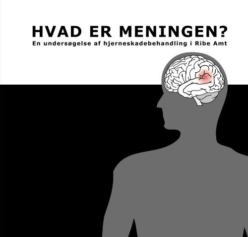 Hvad er meningen?