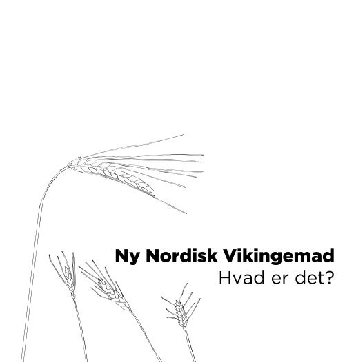 Ny Nordisk Vikingemad Hvad er det? - Mmm - zonen for madkultur