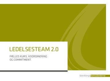 LedeLsesteam 2.0 - Udviklingskonsulenterne