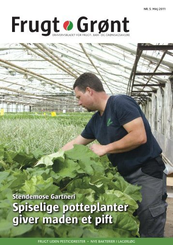 Spiselige potteplanter giver maden et pift - Gartneribladene
