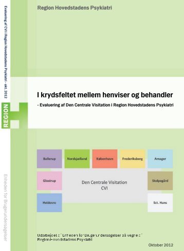 evaluering af Den Centrale Visitation i Region Hovedstadens Psykiatri