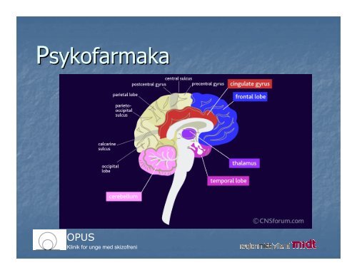 Microsoft PowerPoint - Psykoedukation p\345r\370rende OPUS vest ...