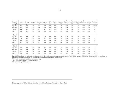 denne rapport