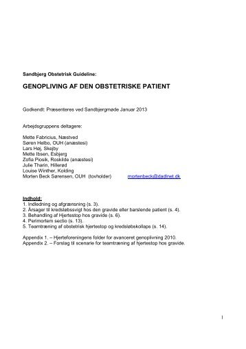 genopliving af den obstetriske patient - Institut for Klinisk Medicin