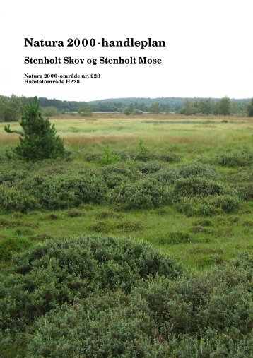 Stenholt Skov og Stenholt Mose - Silkeborg Kommune