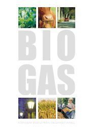 Biogas - Förnybar energi från organiskt avfall - Bioenergiportalen