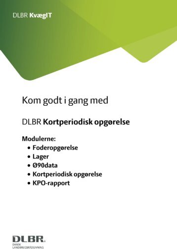 Vejledning Kort Periodisk Opgørelse (KPO) og Nøgletalstjek - DLBR IT