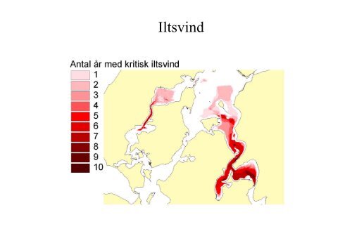 Produktion af muslinger i Limfjorden