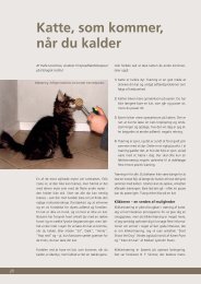 Katte, som kommer, når du kalder - Felis Danica