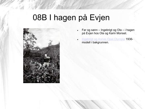 Bildedokumentasjon MON 04 Grønt album hos Ola - Monset