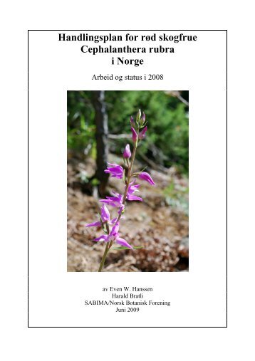 Handlingsplan for rød skogfrue Cephalanthera rubra i Norge - Sabima