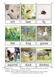 ant bee duck donkey squirrel fly fish frog goose