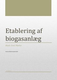 Etablering af biogasanlæg.pdf - Aarhus Maskinmesterskole Campus