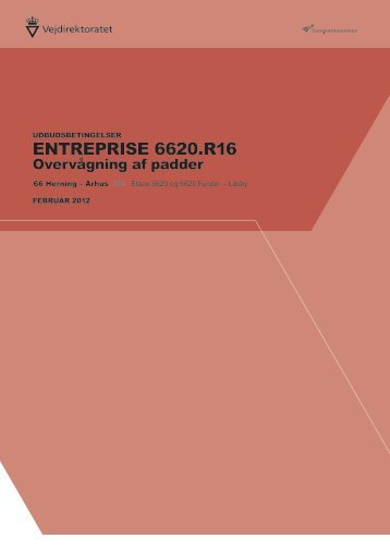 enTreprise 6620.r16 - Vejdirektoratet