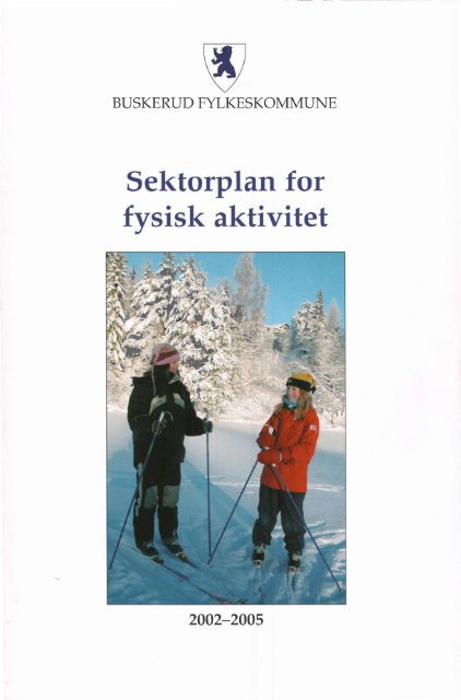 Sektorplan for fysisk aktivitet 2002 – 2005 - Buskerud Fylkeskommune