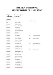 RØYKEN KOMMUNE MØTEPROTOKOLL NR. 02/07