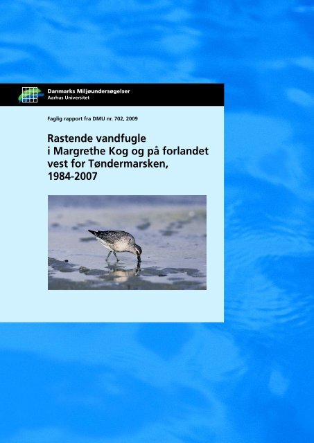Rastende vandfugle i Margrethe Kog og på forlandet vest for ...