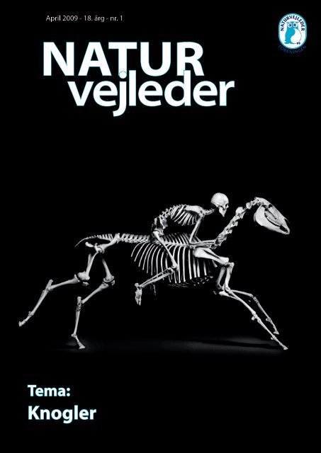 Knogler - Naturvejlederforeningen i Danmark