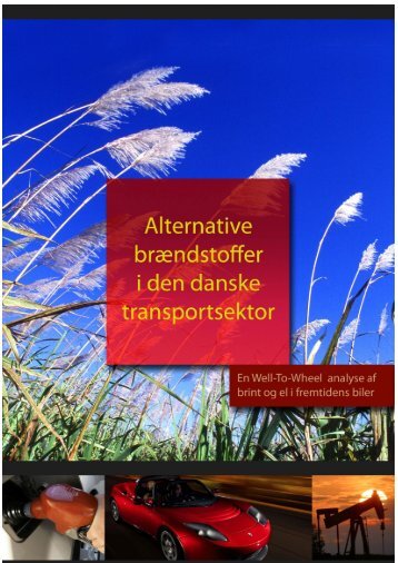 Alternative brændstoffer i den danske transportsektor: En Well-to ...