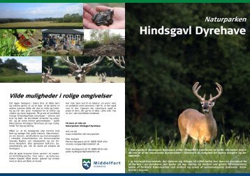 Naturparken Hindsgavl Dyrehave(lille)