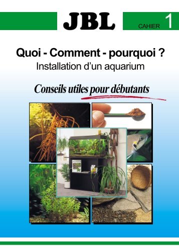 Installation d'un aquarium - conseils utiles pour débutants - Truffaut